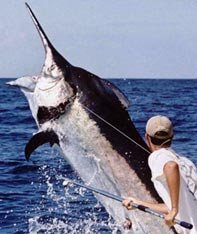 Aim Adventures Manages The Best Hunting & Fishing The World Has To Offer